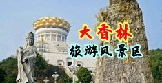 啊嗯~~网页免费中国浙江-绍兴大香林旅游风景区